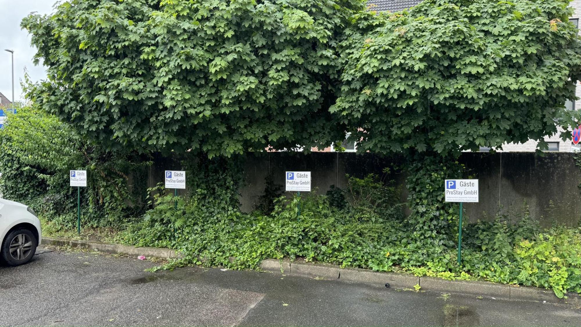 Apartments Im Herzen Von Neumuenster Innenstadt & Hbf Fusslaeufig, Mit Privatparkplatz エクステリア 写真